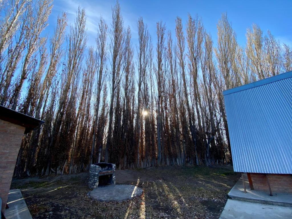 Hosteria & Cabanas Rio Fenix Perito Moreno Exteriör bild